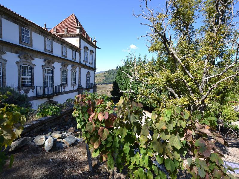 Casa Torres De Oliveira Bed and breakfast Mesão Frio