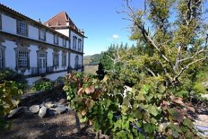 Casa Torres De Oliveira Bed and breakfast