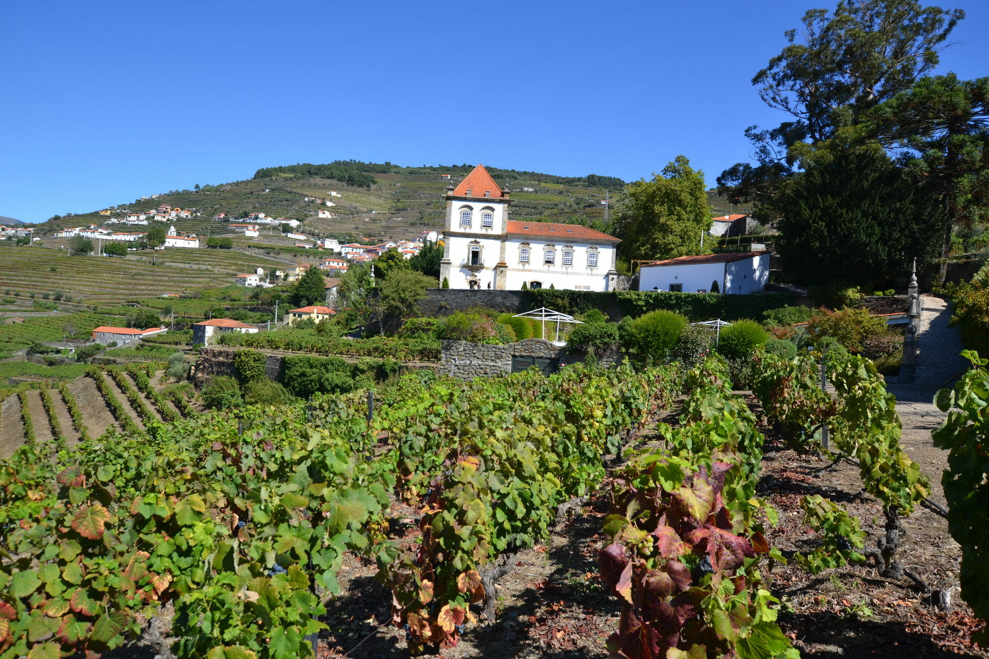 Casa Torres De Oliveira Mesão Frio
