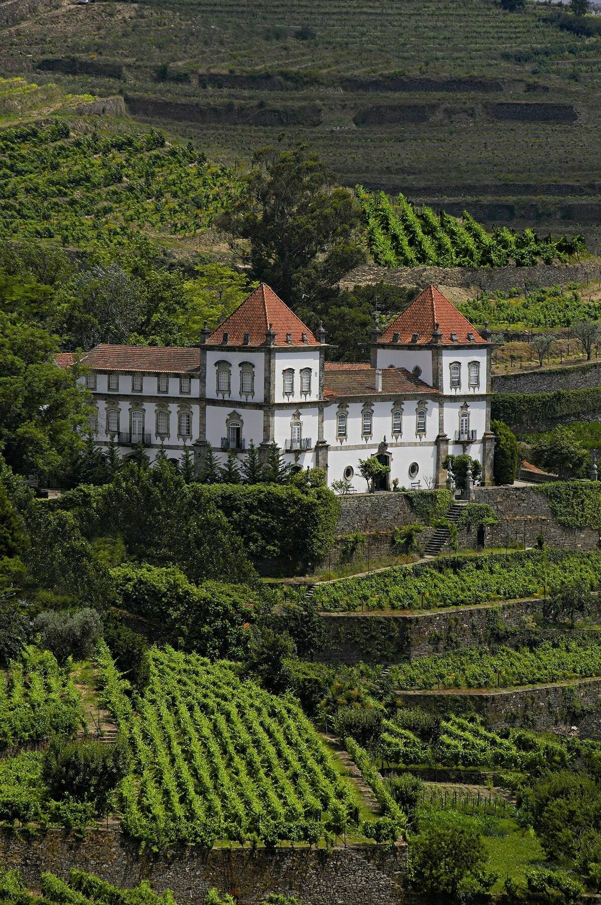 Casa Torres De Oliveira Mesão Frio