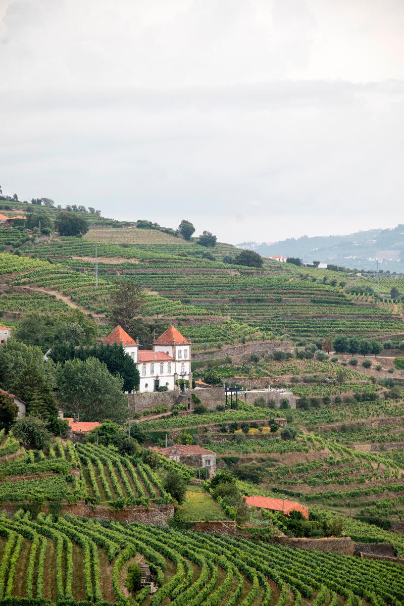 Casa Torres De Oliveira 3*
